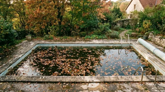 Piscine enterrée avec feuilles mortes et débris végétaux flottant à la surface